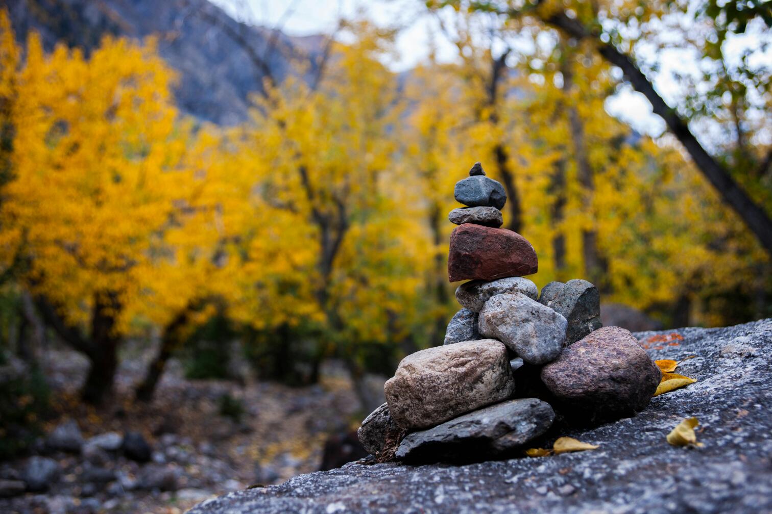 自驾游西藏,时间大约15天(从浙江出发,从成都沿