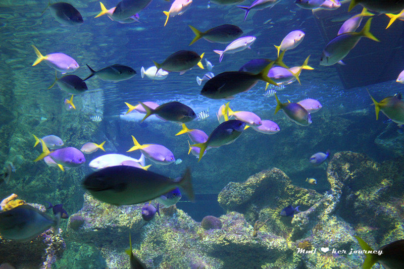 5月澳大利亚摄影之行,城市、沙漠、海边的穿越