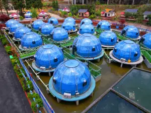 Water Starry Sky Homestay