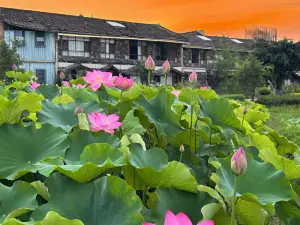 普者黑銘宿·山景落日民宿（普者黑風景區青龍山店）