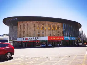 Theme Hotel Ordos