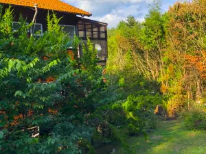 El mas alto VILLA IZUMI