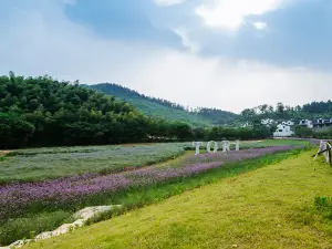 濮塘桃裡度假村