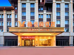 비엔나 호텔(Vienna Hotel) 호텔（랴오청츠핑젠서루）