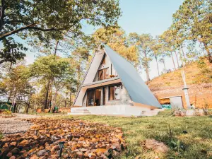 Tiny Pines Cabin & Gampling