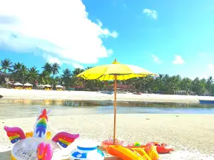 Jelly's Haven Resort