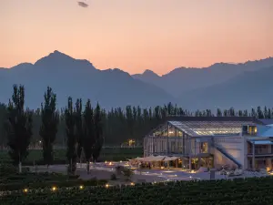 Dalezhiyi·Xiadolan Winery (Yinchuan)
