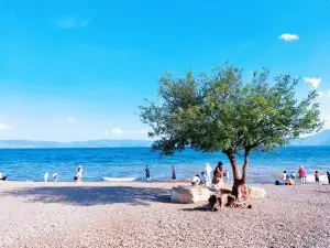 Fuxian Lake Yufan Boutique Homestay (Starry Sky Town)