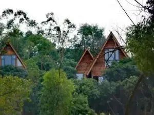 Changtai Mountain Waterside Treehouse