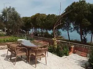 Seaside mansion with detached garden
