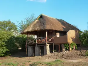 Njobvu Safari
