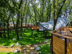 Wanshan Green Paradise Tongyu Tree House Homestay