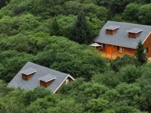 Wanglang Giant Panda Exploration Camping Hotel
