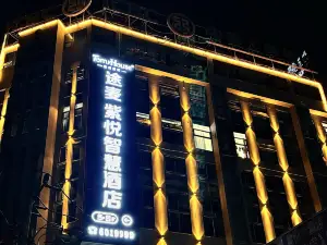 途麥紫悦智慧酒店（大竹青年廣場店）