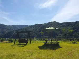 darae pension