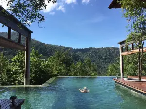 The Shorea
