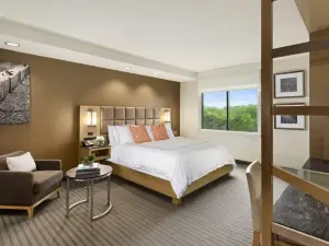 阿倫德爾保護區飯店