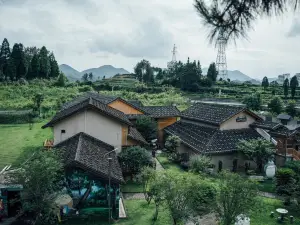 柘荣松林民宿