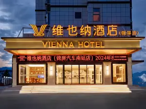 Vienna Hotel (Jinping Car South Station Branch）