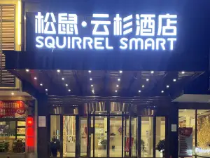 Squirrel Smart Hotel