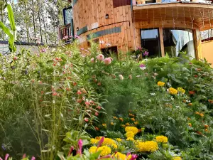 NanYuan homestay