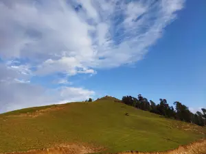 Orange Sky HomeStay Jibhi