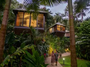 戴因樹雨林生態旅館