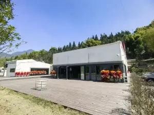 Yunli Chanyang Homestay (Jinfo Mountain)