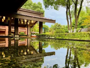 Springs Resort