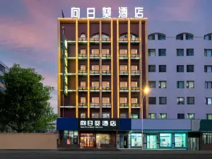 哈爾濱向日葵飯店（中央大街索菲亞教堂店）