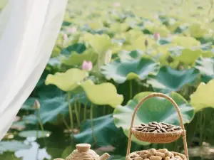 石林風景區｜MOON LOTUS荷蓮月色·鄉野花園民宿