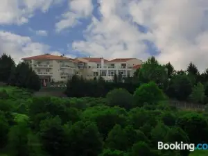 Hotel Achillion Grevena