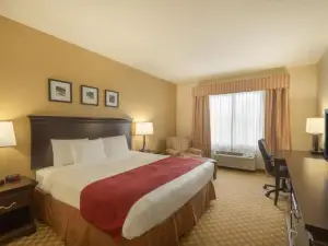Country Inn & Suites by Radisson, Port Orange-Daytona, FL