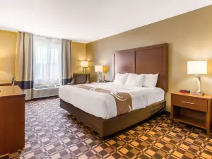 Quality Inn & Suites Georgetown - Seaford