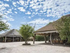 Leopard Plains