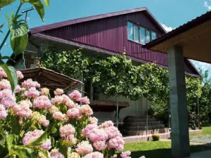 Guest House Melissa