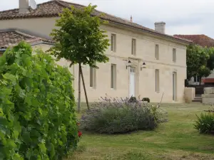 클로스 모니코드