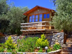 Olive Garden Kabak