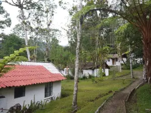 Posada Montaña del Quetzal