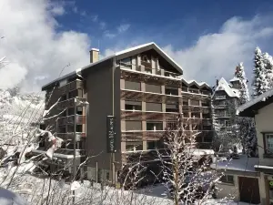 阿爾卑斯山飯店