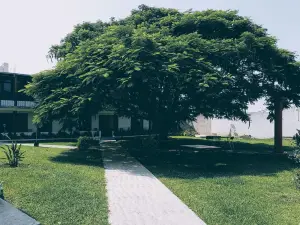 Hacienda San Miguel