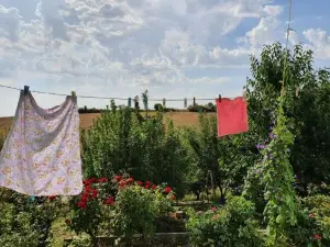 La Casa de Habel
