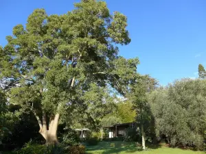 Wharepuke Subtropical Accommodation