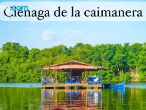 Hostal del Mar - Tolu