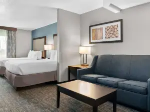 Best Western Plus Flint Airport Inn  Suites