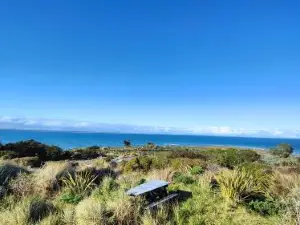 Spectacular Moana Views