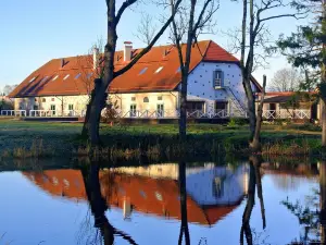 Üksik Rüütel Hotel
