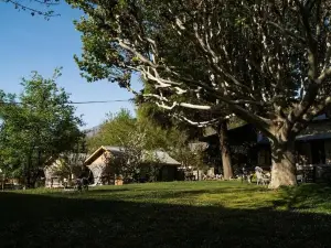 Mountain Inn Hotel Chitral