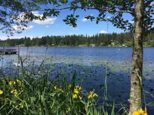Lakefront Bungalow! 35 Miles To Mt Rainier!