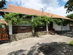 Lugas Vendeghaz